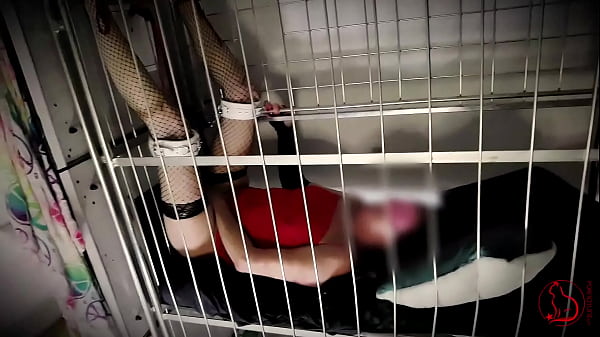 Slut captured for mating session at breeding farm. Strangers inseminate her once a year (breeding next gen species) - 60 FPS