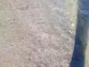 Feeds