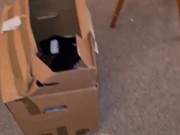 SNEAKILY MASTURBATING in my ROOMMATE's CARDBOXES lol (SQUIRTING ALL OVER THEM TOO)