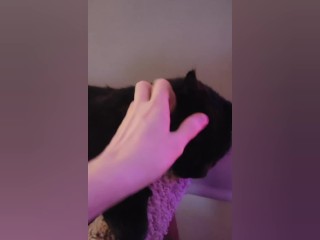 I pet my