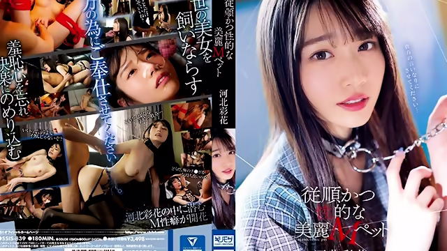 Obedient And Sexual Beautiful M Pet Kawakita Ayaka - Saika Kawakita