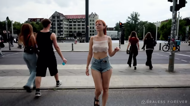 Sheer Tourist in the City