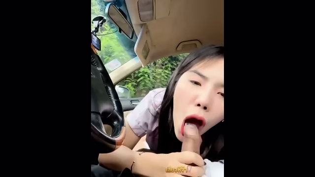 Thai Girl Blowjob In Car Until Cum In Her Mouth