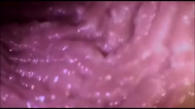 Cock Cums In Pussy (Internal View)