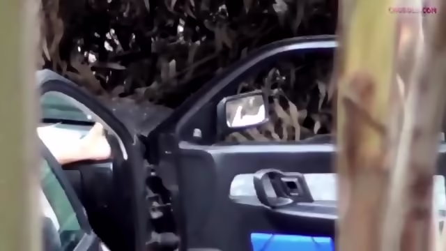 Discrete forest hooker just doing her job